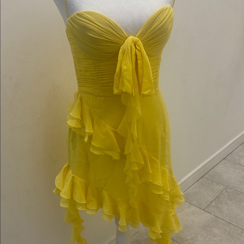 ๐ ALESSANDRA RICH Strapless Ruffled Asymmetric Dress ๐ NWT - Picture 9 of 15
